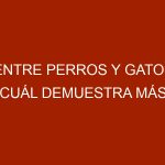 Entre perros y gatos, cuál demuestra más aprecio por su dueño