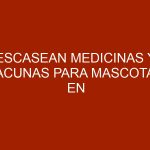 Escasean medicinas y vacunas para mascotas en Hospital de la UCV Maracay