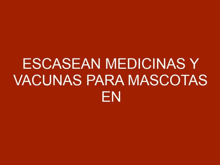 Escasean medicinas y vacunas para mascotas en Hospital de la UCV Maracay