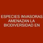 Especies invasoras amenazan la biodiversidad en Venezuela