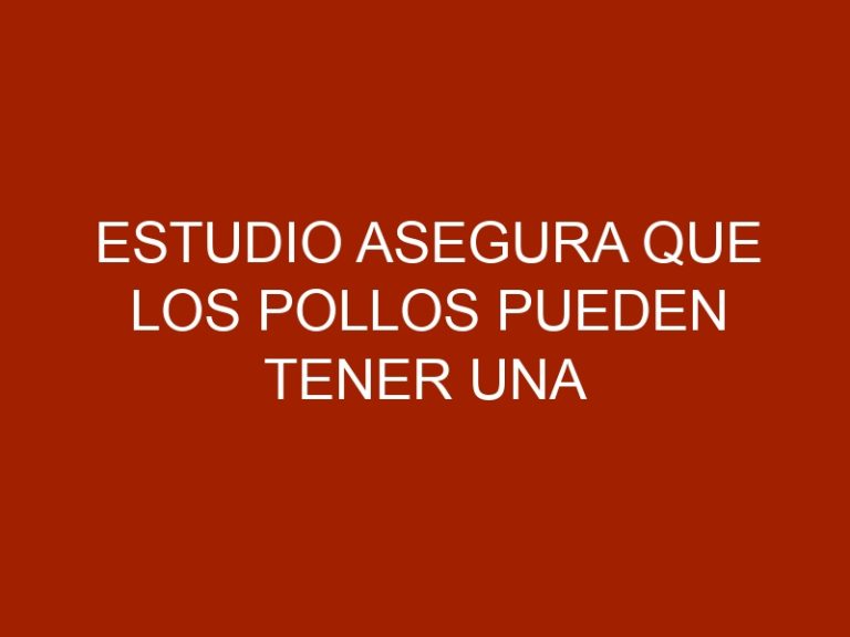 Estudio asegura que los pollos pueden tener una inteligencia "maquiavelica"