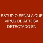Estudio señala que virus de aftosa detectado en Colombia deriva de Venezuela