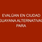 Evalúan en Ciudad Guayana alternativas para garantizar alimentos a animales en situación de calle
