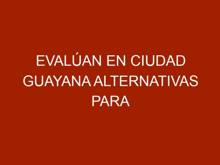 Evalúan en Ciudad Guayana alternativas para garantizar alimentos a animales en situación de calle