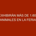 Exhibirán más de 1.600 animales en la Feria Agropecuaria de Carabobo