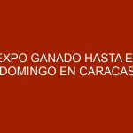 Expo Ganado hasta el domingo en Caracas