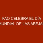 FAO Celebra el Día Mundial de las Abejas