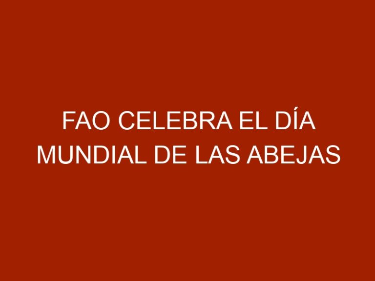 FAO Celebra el Día Mundial de las Abejas