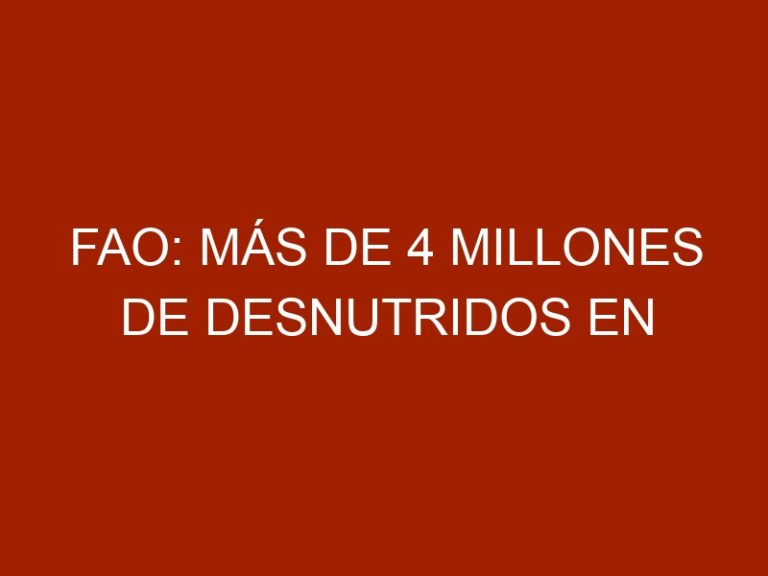 FAO: más de 4 millones de desnutridos en Venezuela