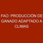 FAO: Producción de ganado adaptado a climas locales favorece seguridad alimentaria