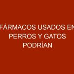Fármacos usados en perros y gatos podrían controlar Malaria y Zika