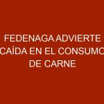 Fedenaga advierte caída en el consumo de carne en el país