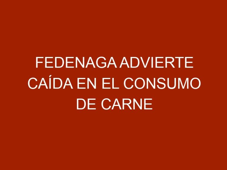Fedenaga advierte caída en el consumo de carne en el país