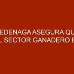 Fedenaga asegura que el sector ganadero en Venezuela lleva 19 trimestres en caída