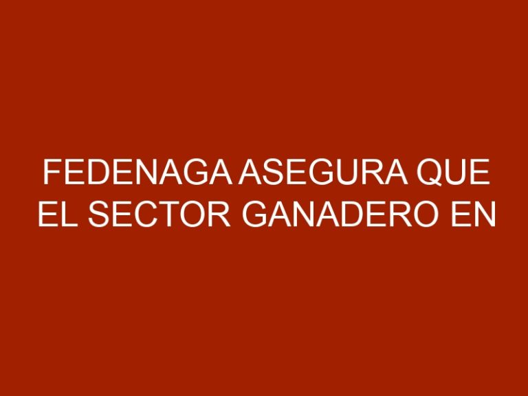 Fedenaga asegura que el sector ganadero en Venezuela lleva 19 trimestres en caída