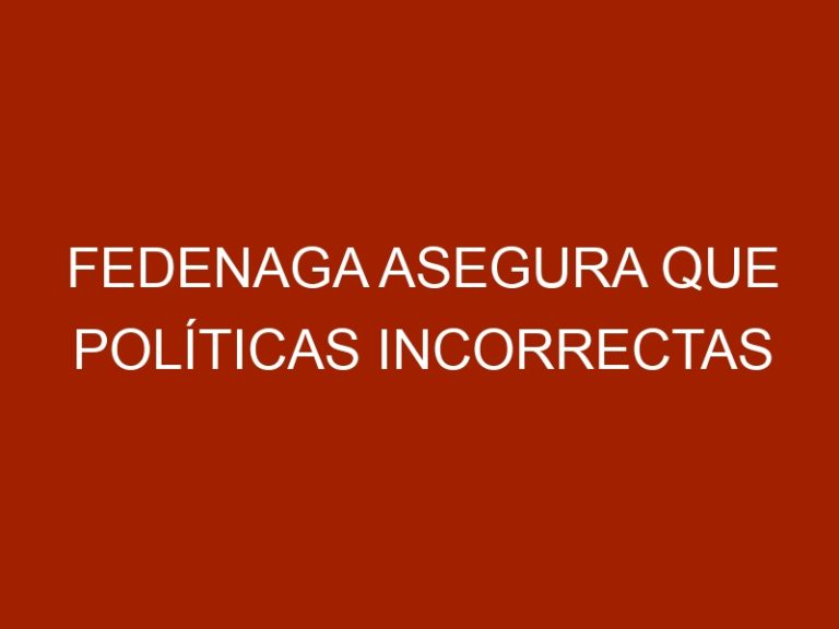 Fedenaga asegura que políticas incorrectas afectan al sector ganadero