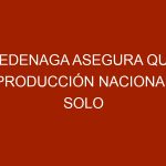 Fedenaga asegura que producción nacional solo cubre el 32% de la demanda