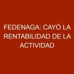 Fedenaga: Cayó la rentabilidad de la actividad ganadera