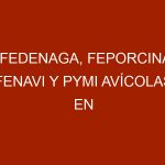 FEDENAGA, FEPORCINA, FENAVI y PYMI Avícolas en Maracay para foro con AVISA Venezuela