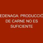 Fedenaga: Producción de carne no es suficiente para cubrir la demanda