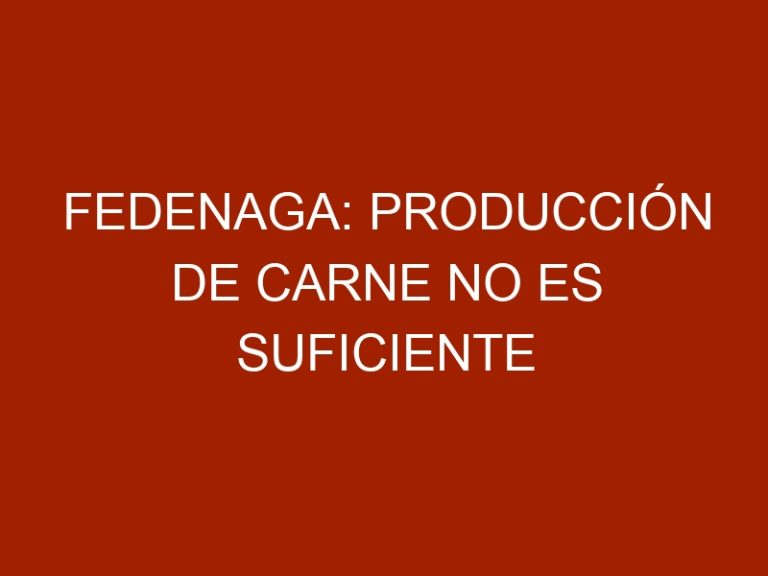 Fedenaga: Producción de carne no es suficiente para cubrir la demanda