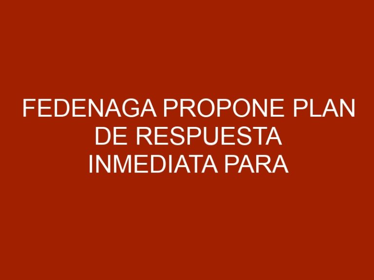 Fedenaga propone plan de respuesta inmediata para evitar caída de la producción