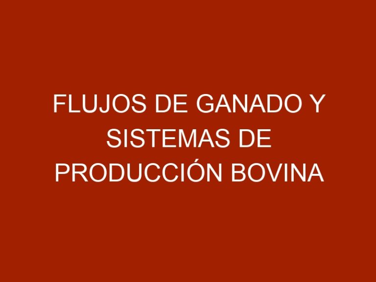 Flujos de ganado y sistemas de producción bovina