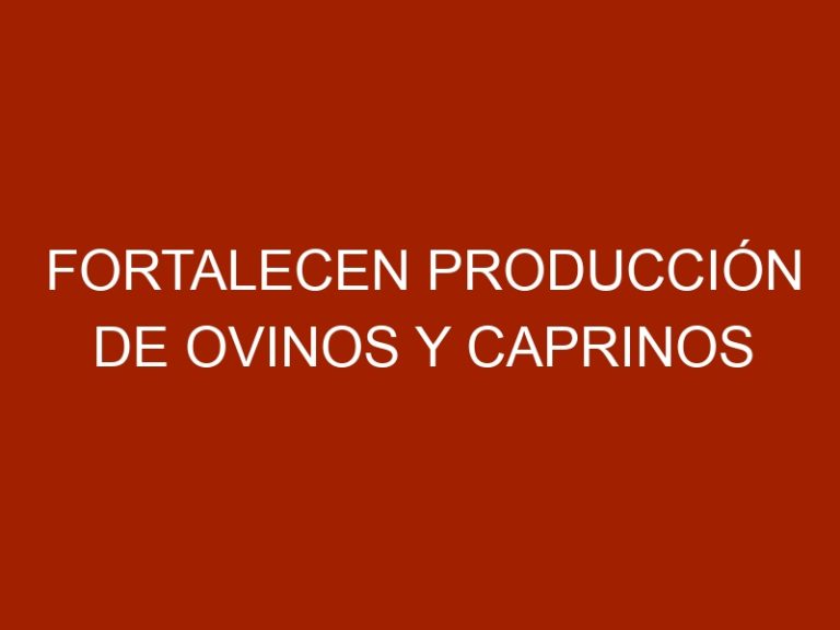 Fortalecen producción de ovinos y caprinos
