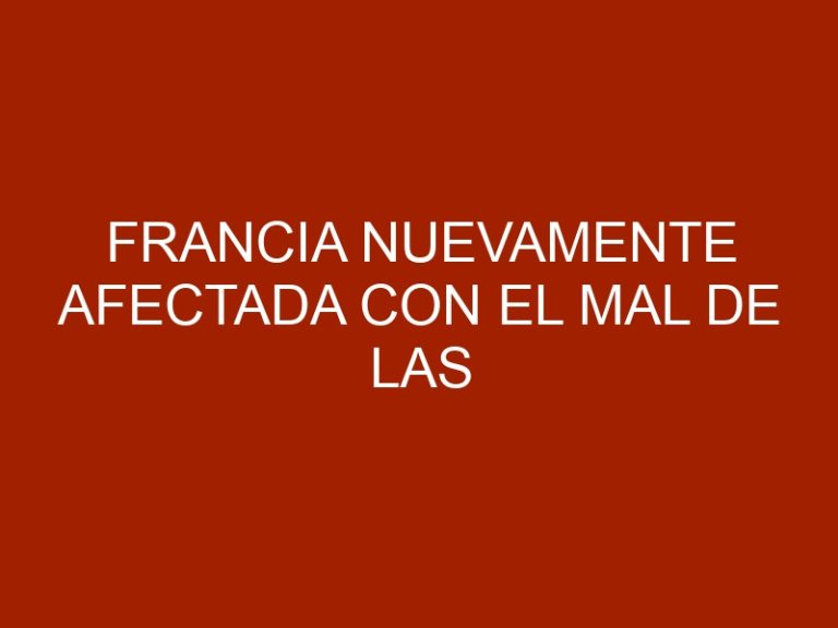 Francia nuevamente afectada con el mal de las vacas locas
