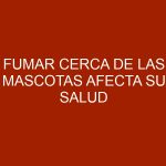 Fumar cerca de las mascotas afecta su salud