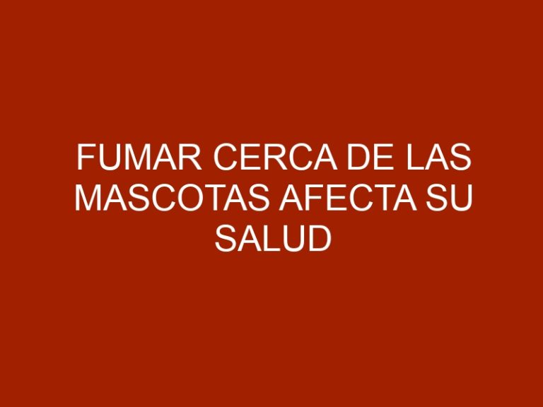 Fumar cerca de las mascotas afecta su salud