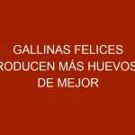 Gallinas felices producen más huevos y de mejor calidad