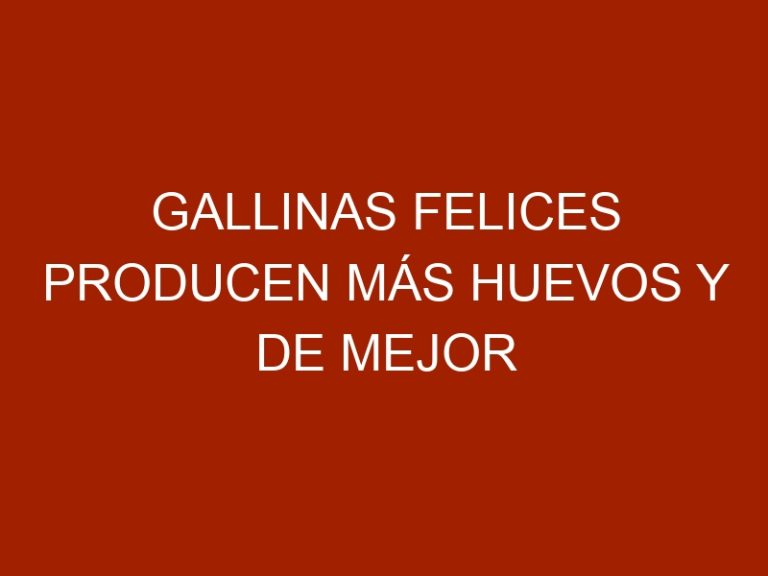 Gallinas felices producen más huevos y de mejor calidad