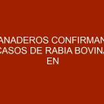 Ganaderos confirman 6 casos de rabia bovina en Panamá
