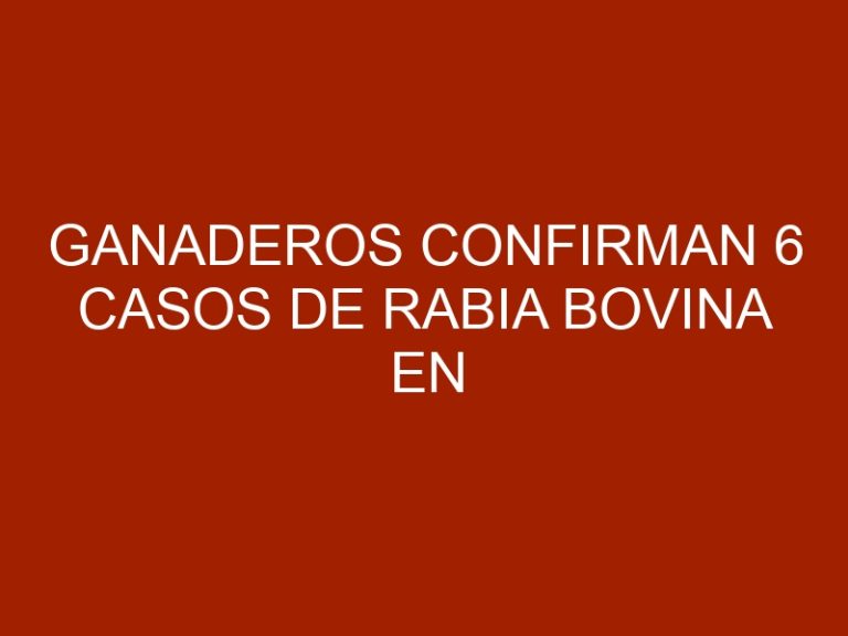 Ganaderos confirman 6 casos de rabia bovina en Panamá