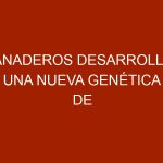 Ganaderos desarrollan una nueva genética de bovinos