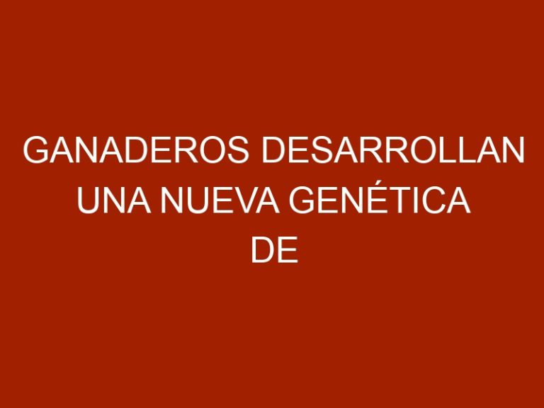 Ganaderos desarrollan una nueva genética de bovinos