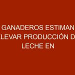 Ganaderos estiman elevar producción de leche en 20% con las lluvias