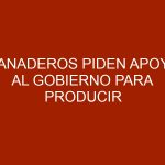 Ganaderos piden apoyo al gobierno para producir