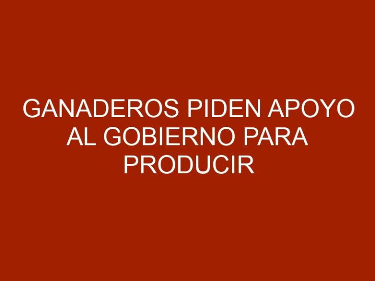 Ganaderos piden apoyo al gobierno para producir