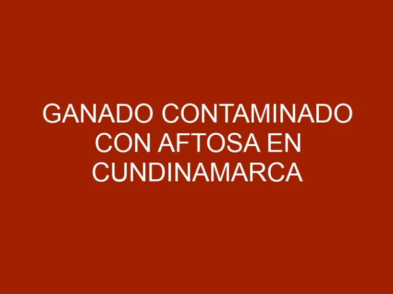 Ganado contaminado con aftosa en Cundinamarca vendría de Venezuela
