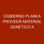 Gobierno planea proveer material genético a productores pecuarios