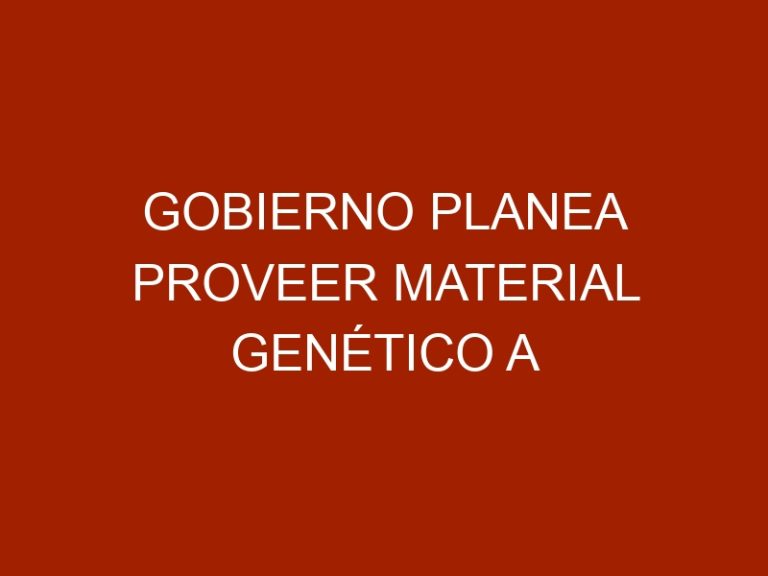 Gobierno planea proveer material genético a productores pecuarios