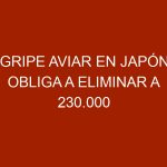 Gripe aviar en Japón obliga a eliminar a 230.000 pollos
