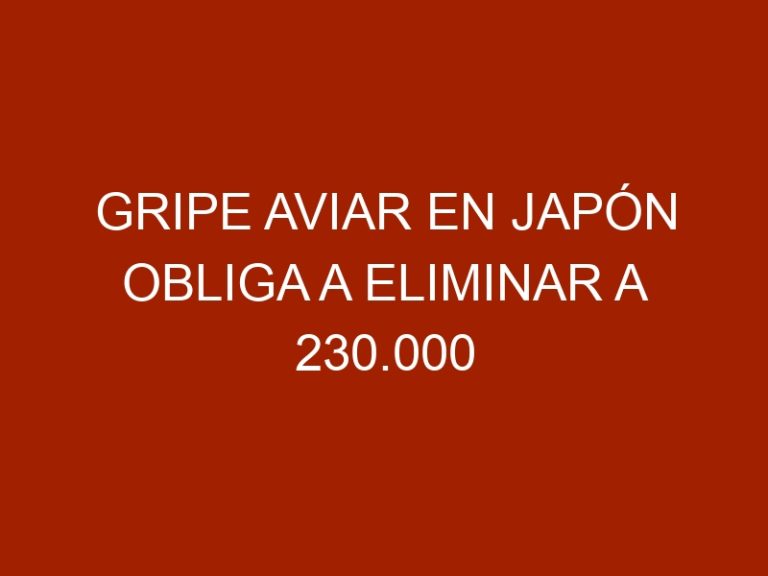 Gripe aviar en Japón obliga a eliminar a 230.000 pollos