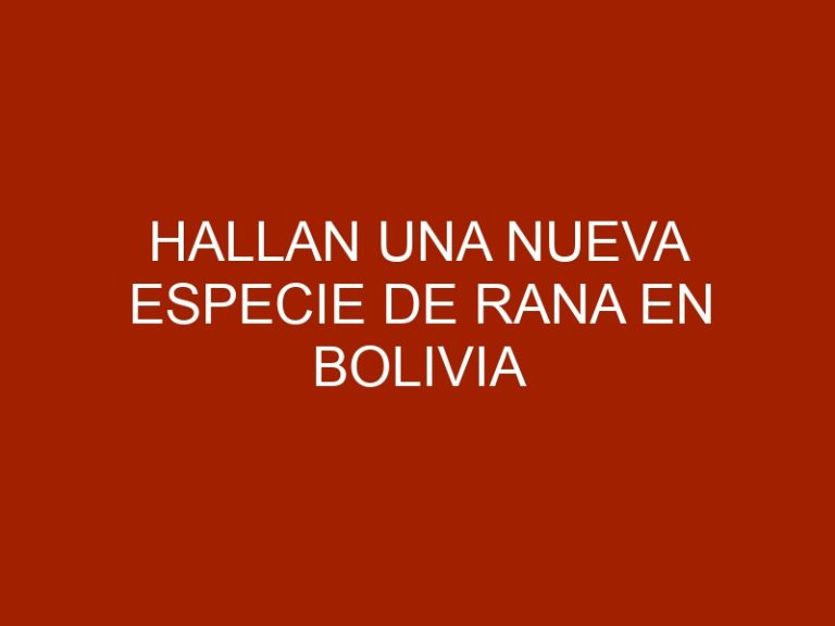 Hallan una nueva especie de rana en Bolivia