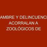 Hambre y delincuencia acorralan a zoológicos de Venezuela