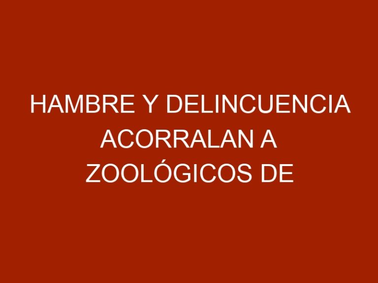 Hambre y delincuencia acorralan a zoológicos de Venezuela