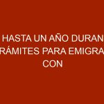 Hasta un año duran trámites para emigrar con mascotas
