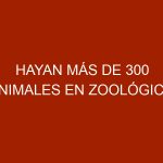 Hayan más de 300 animales en zoológico clandestino del Zulia